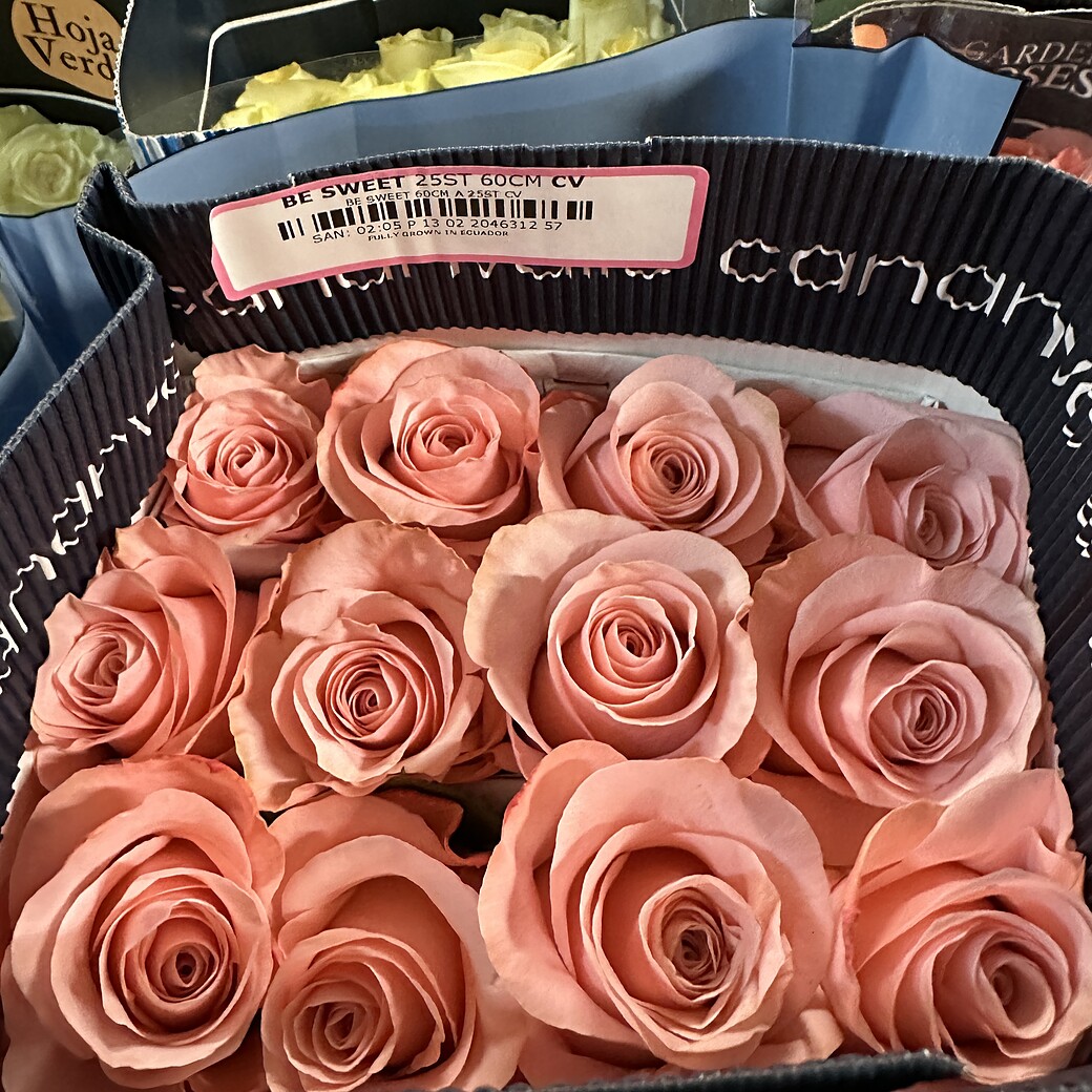 Розовые розы Be Sweet в коробке с этикеткой Naranjo Roses