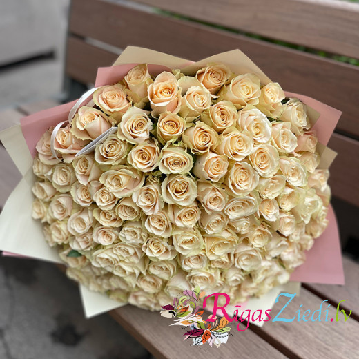 ​101 cream roses