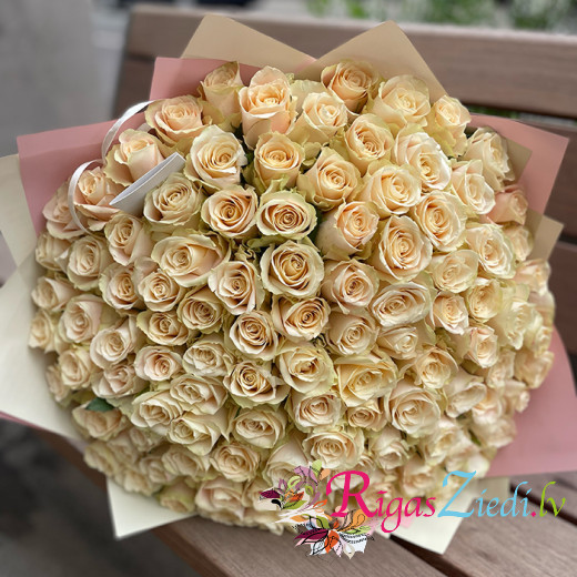 ​101 cream roses