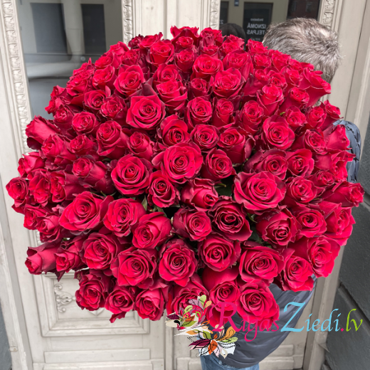 101 red roses