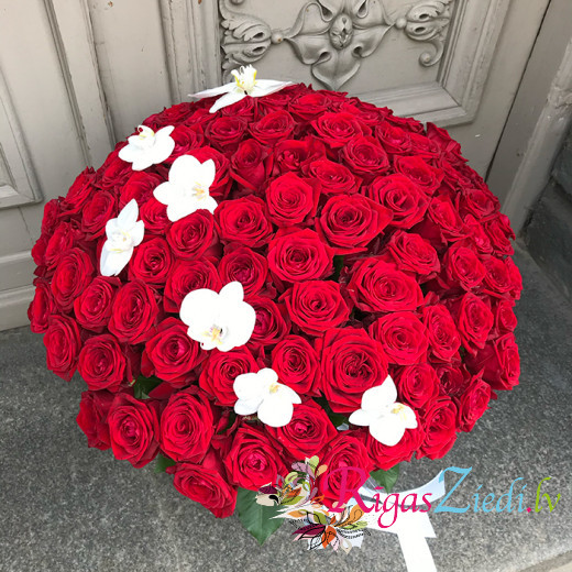101 красная роза с цветками белой орхидеи