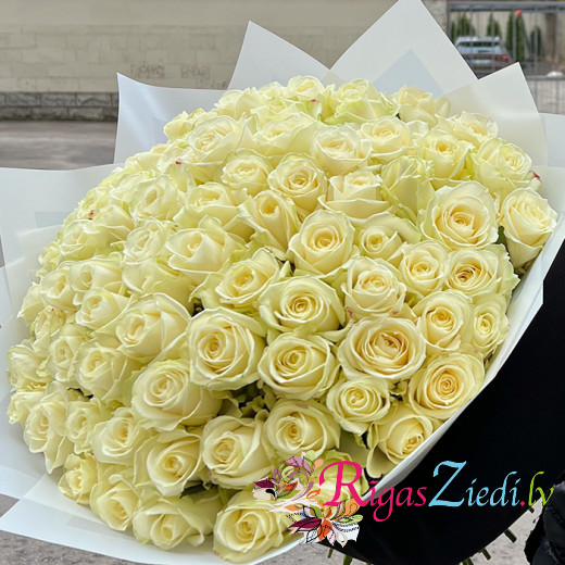 101 White Rose Avalanche