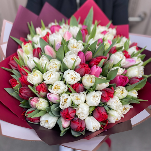 101 dažādu krāsu tulpe