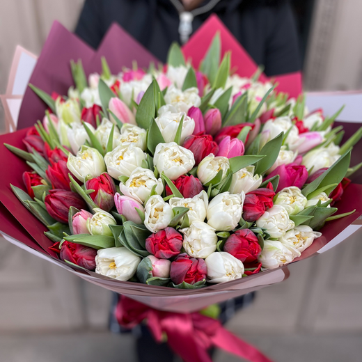 101 dažādu krāsu tulpe