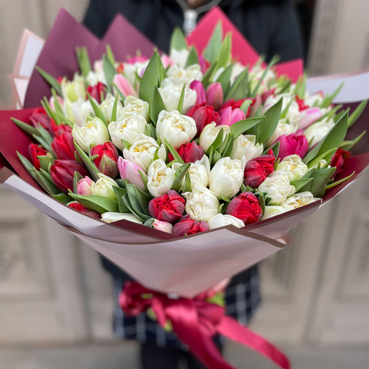 101 dažādu krāsu tulpe