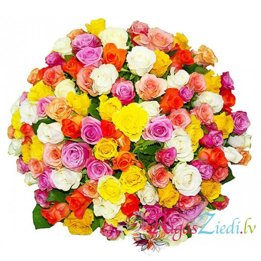 101 different colour roses