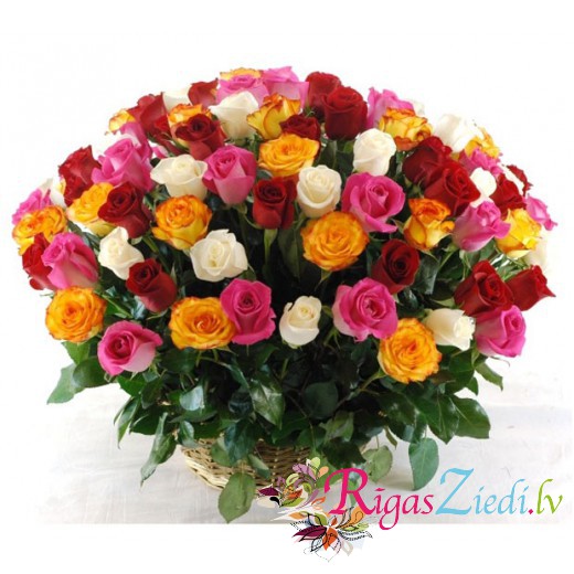 101 different colors of the rose basket