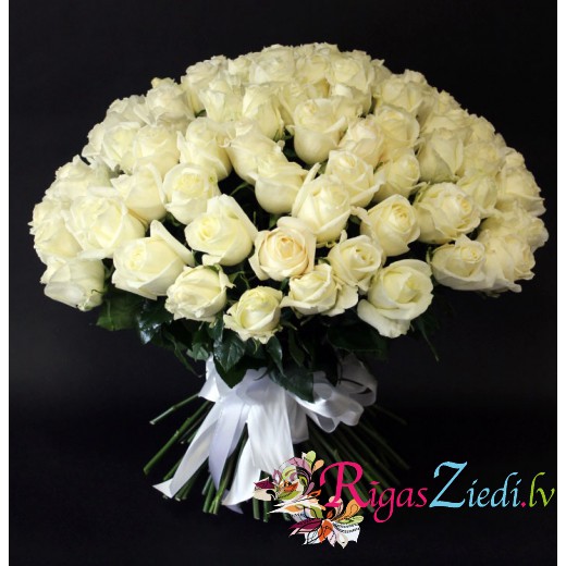 101 white 70 cm rose