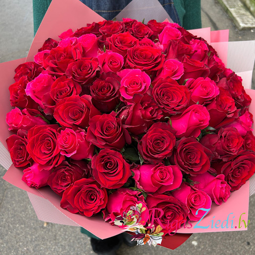 51 red and raspberry roses