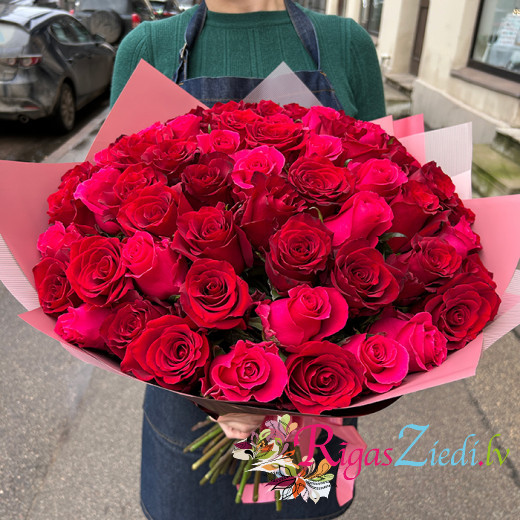 51 red and raspberry roses
