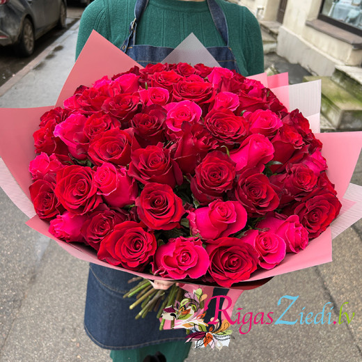 51 red and raspberry roses