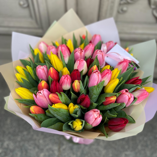 51 dažādu krāsu tulpe dekoratīvā iepakojumā