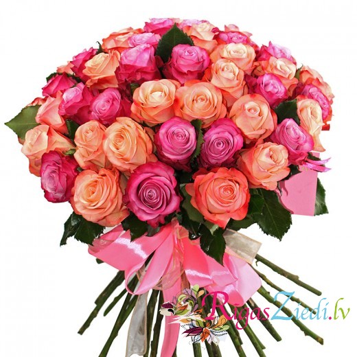 51 роза оранжево-розового и фиолетового цвета 