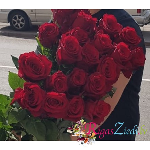 Red premium roses Explorer