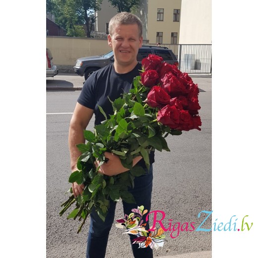 Explorer roses