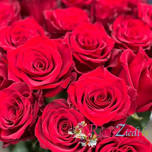 Букет из красных роз - Люблю тебя
