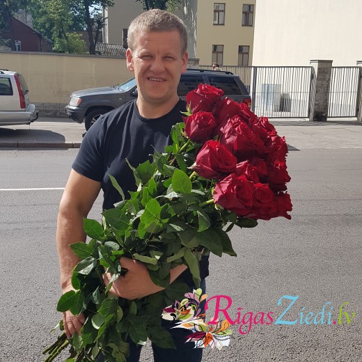 Explorer roses