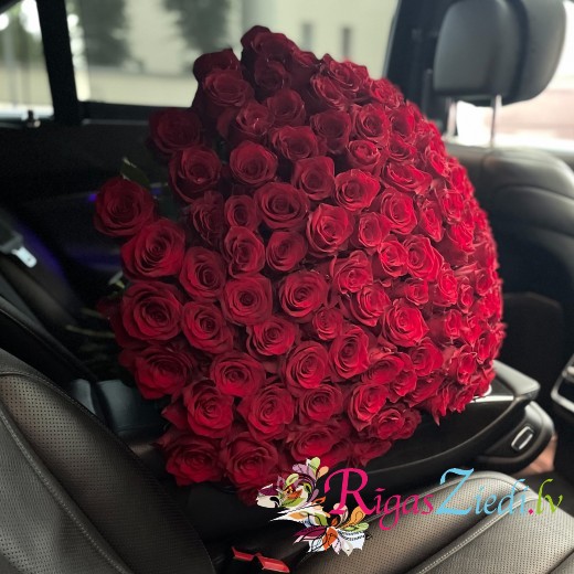 101 red roses