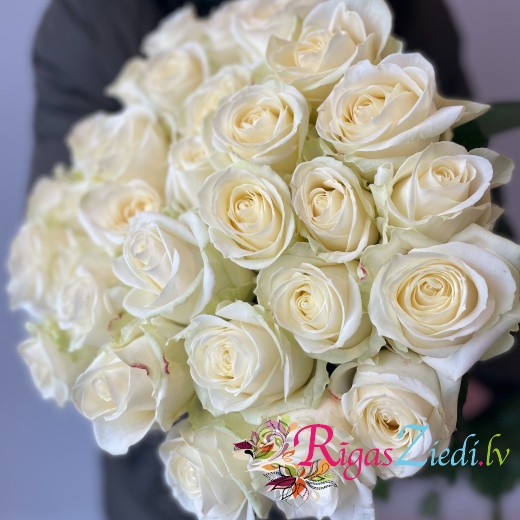 White roses