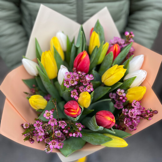 Tulpju pu&scaron;ķis pavasaris