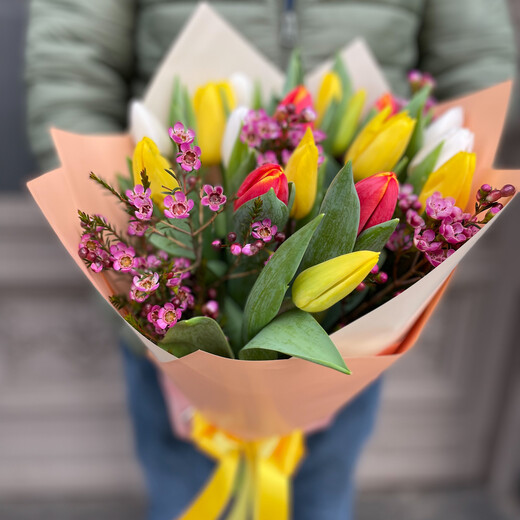 Tulpju pu&scaron;ķis pavasaris