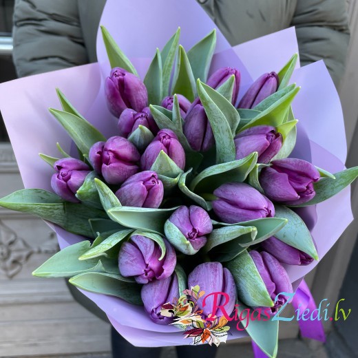 Purple tulips in a decorative package