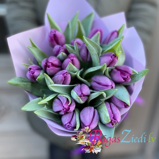Purple tulips in a decorative package