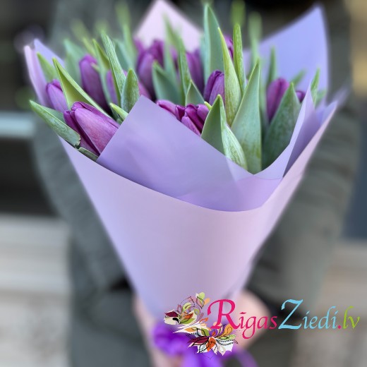 Purple tulips in a decorative package
