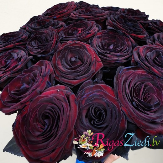 Черные розы | Rīgas Ziedi
 Черные Розы Букет