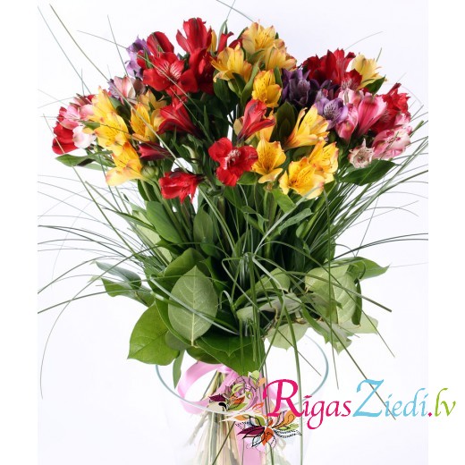 Букет из разноцветных Альстромерий