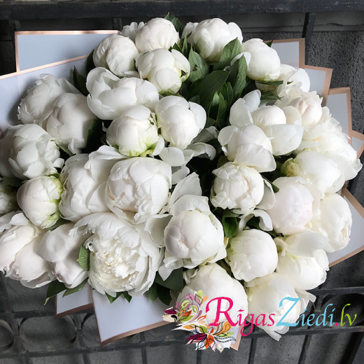 A bouquet of white peonies