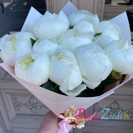 A bouquet of white peonies