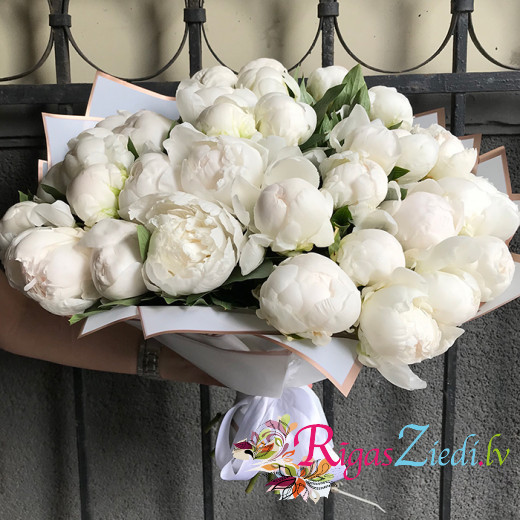 A bouquet of white peonies