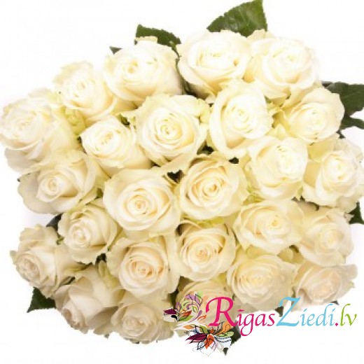 White roses