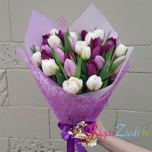 Bouquet of white and purple tulips