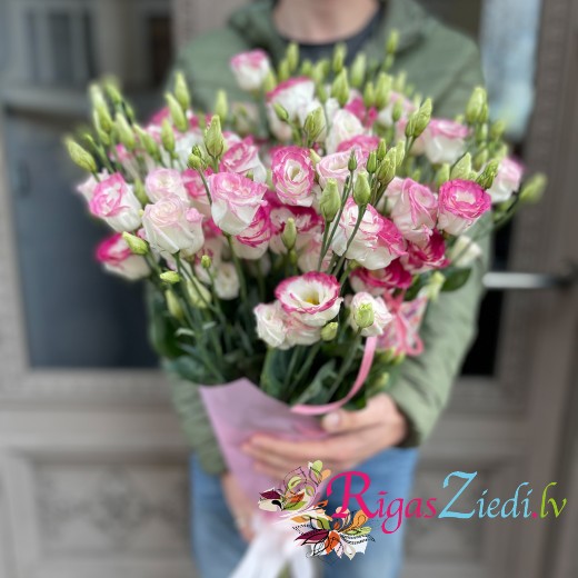 White lisantes with a pink border