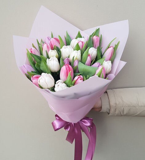 белые и розовые тюльпаны