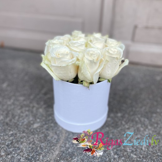 White roses in a round box