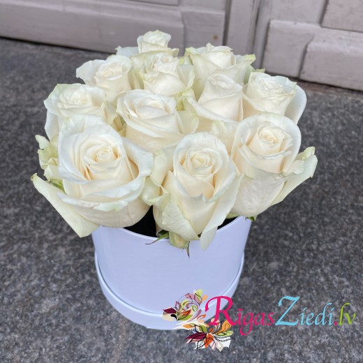 White roses in a round box