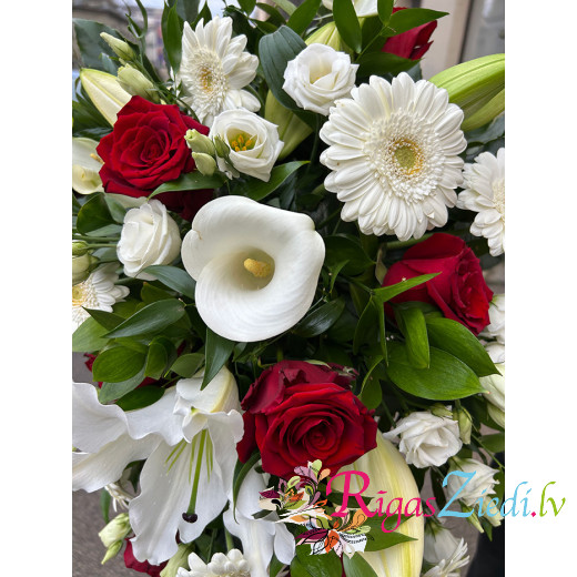 Bēru &scaron;trauss