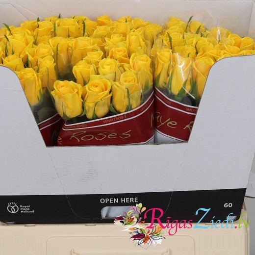 Yellow roses in the manufacturer's packaging, in a package of 10 pcs.