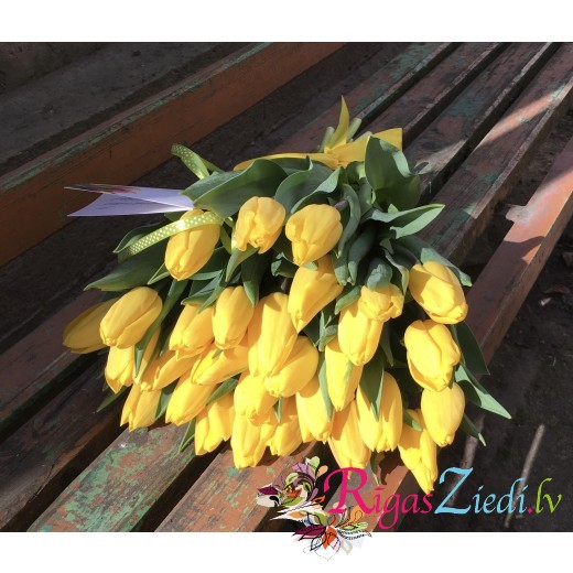 dzeltenas tulpes