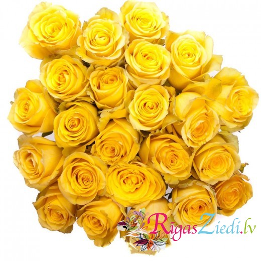 Букет из желтых роз 