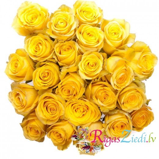 Bouquet of yellow roses 