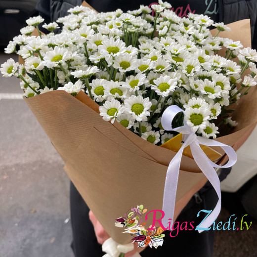 Bouquet of chrysanthemums Santini