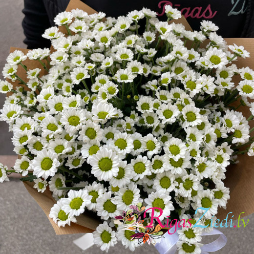 Bouquet of chrysanthemums Santini