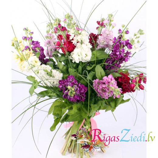 Different colors gillyflower fragrant bouquet