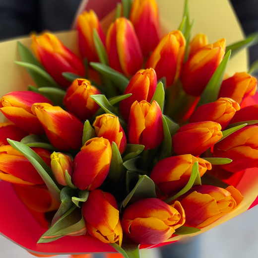 Oranžu tulpju pu&scaron;ķis