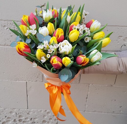 Tulpju pu&scaron;ķis pavasaris