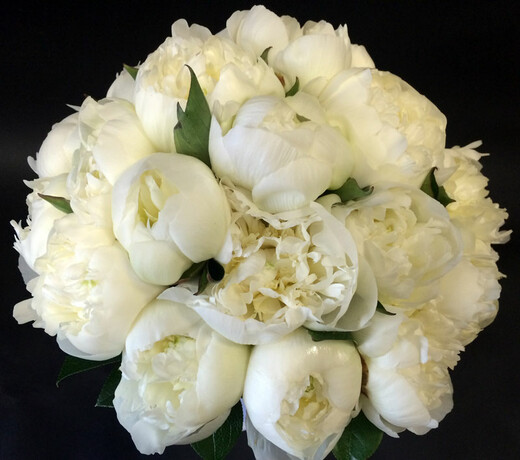 ​White peony bouquet
